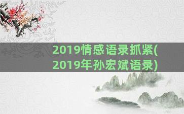 2019情感语录抓紧(2019年孙宏斌语录)