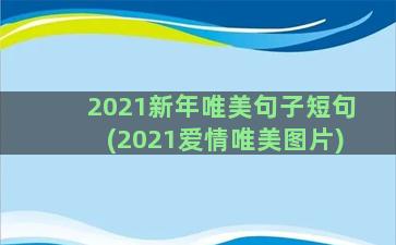 2021新年唯美句子短句(2021爱情唯美图片)