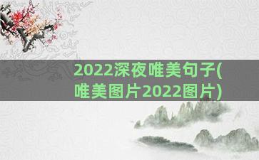 2022深夜唯美句子(唯美图片2022图片)