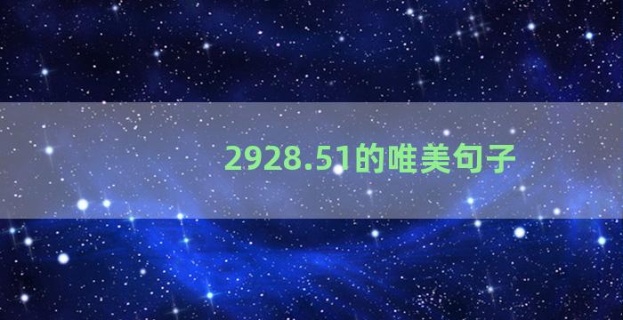 2928.51的唯美句子