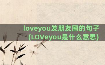 loveyou发朋友圈的句子(LOVeyou是什么意思)