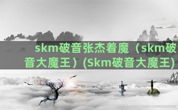 skm破音张杰着魔（skm破音大魔王）(Skm破音大魔王)