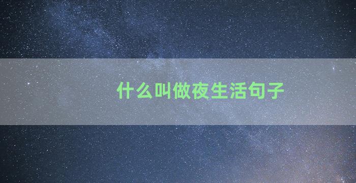 什么叫做夜生活句子