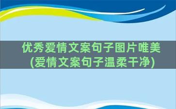 优秀爱情文案句子图片唯美(爱情文案句子温柔干净)