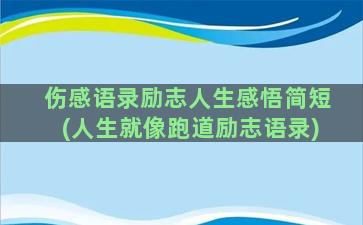 伤感语录励志人生感悟简短(人生就像跑道励志语录)