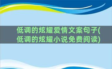 低调的炫耀爱情文案句子(低调的炫耀小说免费阅读)