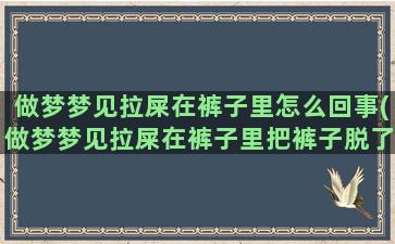 做梦梦见拉屎在裤子里怎么回事(做梦梦见拉屎在裤子里把裤子脱了)