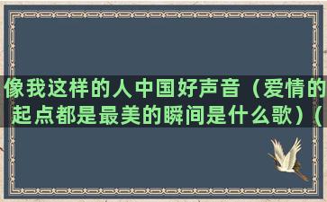 像我这样的人中国好声音（爱情的起点都是最美的瞬间是什么歌）(像我这样的人中国好声音)