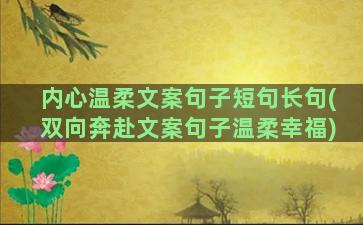 内心温柔文案句子短句长句(双向奔赴文案句子温柔幸福)