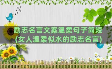 励志名言文案温柔句子简短(女人温柔似水的励志名言)