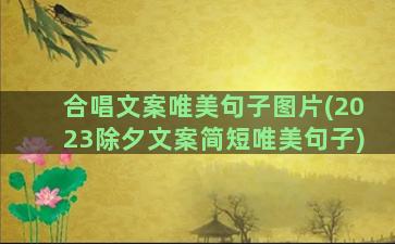 合唱文案唯美句子图片(2023除夕文案简短唯美句子)