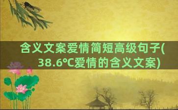 含义文案爱情简短高级句子(38.6℃爱情的含义文案)