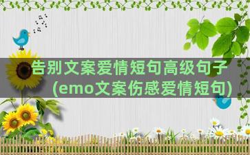 告别文案爱情短句高级句子(emo文案伤感爱情短句)