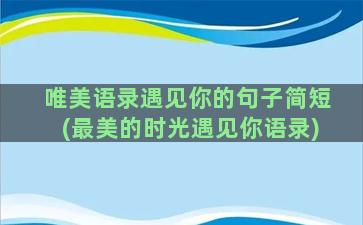 唯美语录遇见你的句子简短(最美的时光遇见你语录)