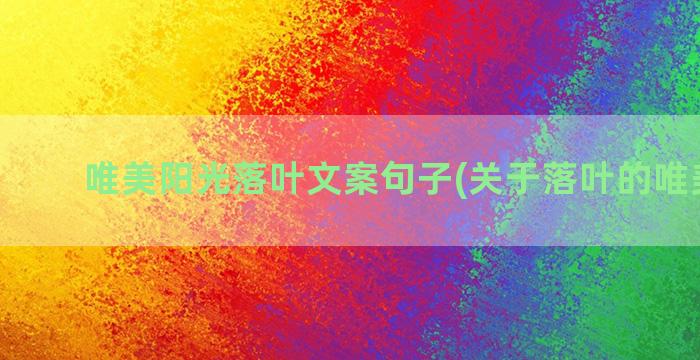 唯美阳光落叶文案句子(关于落叶的唯美文案)