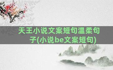 天王小说文案短句温柔句子(小说be文案短句)