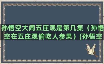 孙悟空大闹五庄观是第几集（孙悟空在五庄观偷吃人参果）(孙悟空大闹五庄观概括)