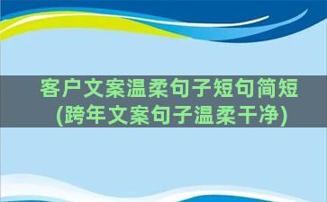 客户文案温柔句子短句简短(跨年文案句子温柔干净)