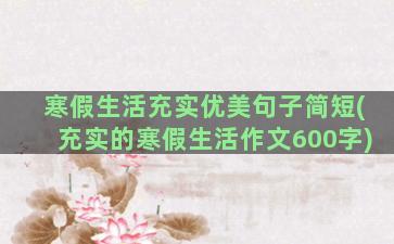 寒假生活充实优美句子简短(充实的寒假生活作文600字)