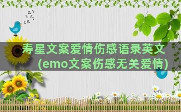 寿星文案爱情伤感语录英文(emo文案伤感无关爱情)