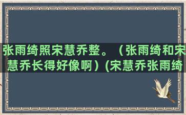 张雨绮照宋慧乔整。（张雨绮和宋慧乔长得好像啊）(宋慧乔张雨绮辛芷蕾)