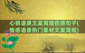 心狠语录文案简短伤感句子(情感语录热门素材文案简短)