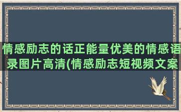 情感励志的话正能量优美的情感语录图片高清(情感励志短视频文案)