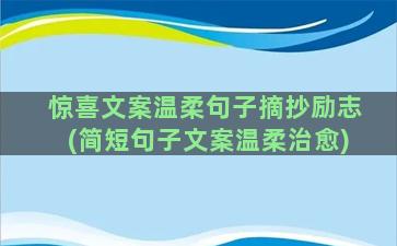 惊喜文案温柔句子摘抄励志(简短句子文案温柔治愈)