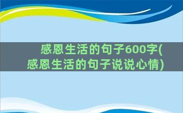 感恩生活的句子600字(感恩生活的句子说说心情)