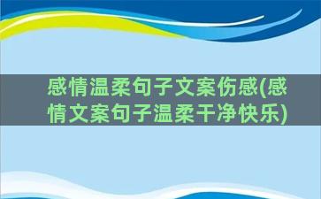 感情温柔句子文案伤感(感情文案句子温柔干净快乐)