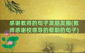 感谢教师的句子发朋友圈(教师感谢校领导的帮助的句子)