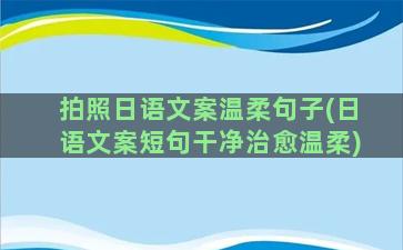 拍照日语文案温柔句子(日语文案短句干净治愈温柔)