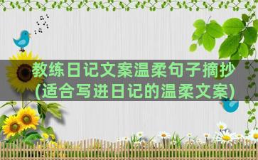 教练日记文案温柔句子摘抄(适合写进日记的温柔文案)