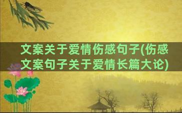 文案关于爱情伤感句子(伤感文案句子关于爱情长篇大论)