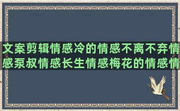 文案剪辑情感冷的情感不离不弃情感泵叔情感长生情感梅花的情感情感语录搭配图(高冷情感文案)