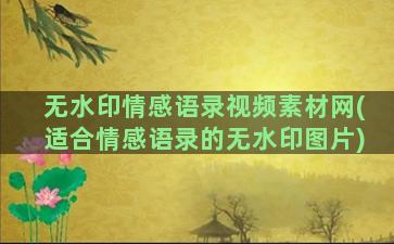 无水印情感语录视频素材网(适合情感语录的无水印图片)