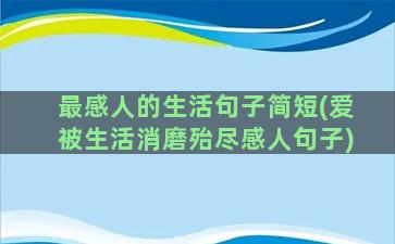 最感人的生活句子简短(爱被生活消磨殆尽感人句子)