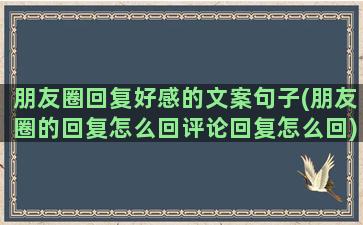 朋友圈回复好感的文案句子(朋友圈的回复怎么回评论回复怎么回)