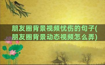 朋友圈背景视频忧伤的句子(朋友圈背景动态视频怎么弄)