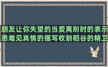 朋友让你失望的当爱离别时的表示患难见真情的描写收割稻谷的精卫勤劳不息的希望小孩在成长的生活中的感悟经典关于不联系的经典友谊已走到尽头的民国情书经典关于团队精神的