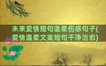 未来爱情短句温柔伤感句子(爱情温柔文案短句干净治愈)