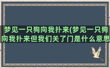 梦见一只狗向我扑来(梦见一只狗向我扑来但我们关了门是什么意思)