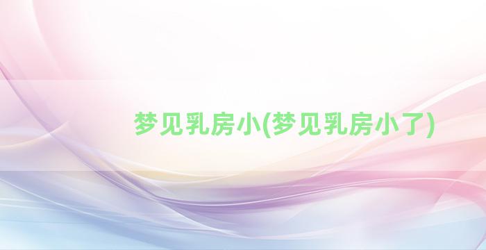 梦见乳房小(梦见乳房小了)