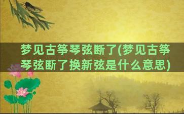 梦见古筝琴弦断了(梦见古筝琴弦断了换新弦是什么意思)