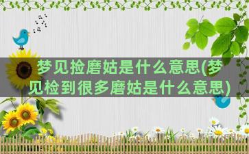 梦见捡磨姑是什么意思(梦见检到很多磨姑是什么意思)