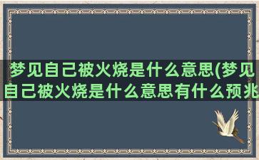 梦见自己被火烧是什么意思(梦见自己被火烧是什么意思有什么预兆)