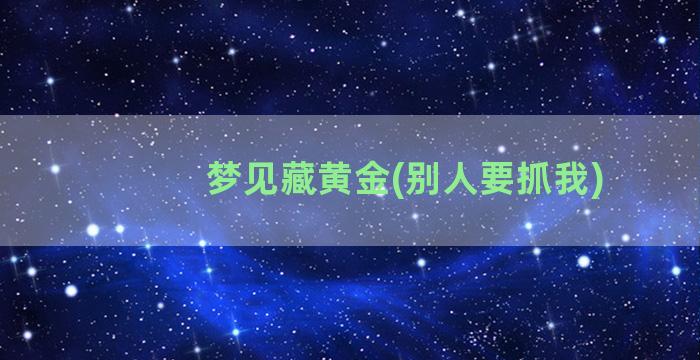 梦见藏黄金(别人要抓我)