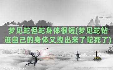 梦见蛇但蛇身体很短(梦见蛇钻进自己的身体又拽出来了蛇死了)