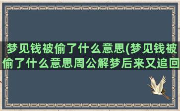 梦见钱被偷了什么意思(梦见钱被偷了什么意思周公解梦后来又追回来了)