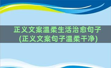 正义文案温柔生活治愈句子(正义文案句子温柔干净)